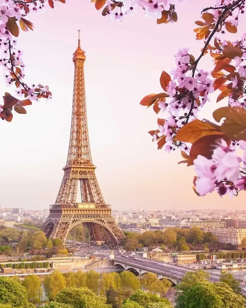 Eiffel Tower in summer with pink blossoms.