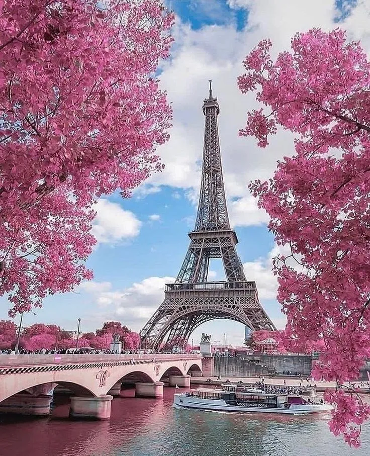 Eiffel Tower surrounded by pink blossoms in Parisian summer.