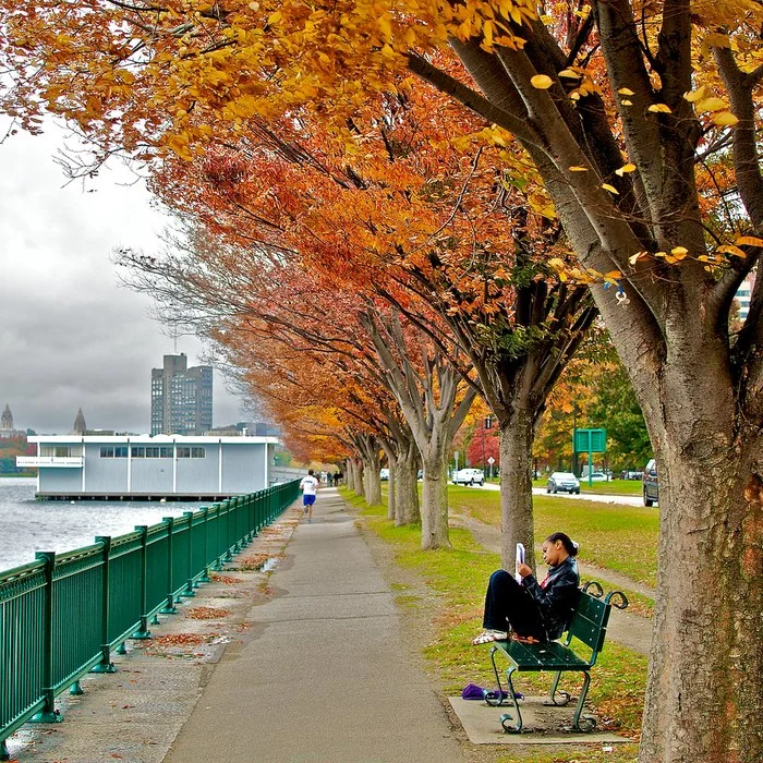 Person reading on bench by autumnal trees along Charles River.