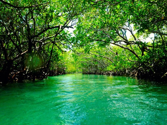 Cayo Aurora A wonderful landscape