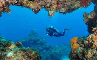 photoEscudo_Cozumel_cozumelgeneral