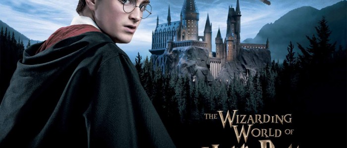 Wizard at the New Harry Potter Theme Park