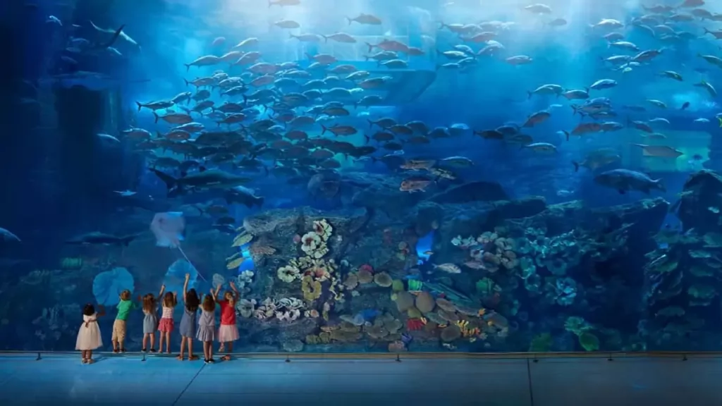 Dubai Aquarium and Underwater Zoo