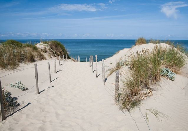 The 14 most beautiful beaches in France: Plage de l’Espiguette, Le Grau-du-Roi 