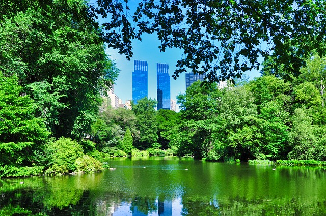 19 Things to Know Before Visiting the City That Never Rests, New York: Central Park