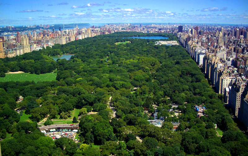 Central Park Iconic View of New York City