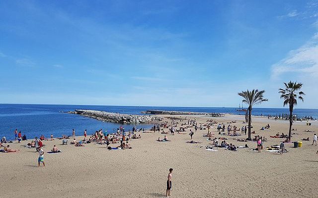 Crowds of people enjoying a sunny day on the sandy shores of Barceloneta Beach in Barcelona, with the Mediterranean Sea stretching into the horizon, palm trees swaying gently, and a breakwater creating a calm coastal ambiance.