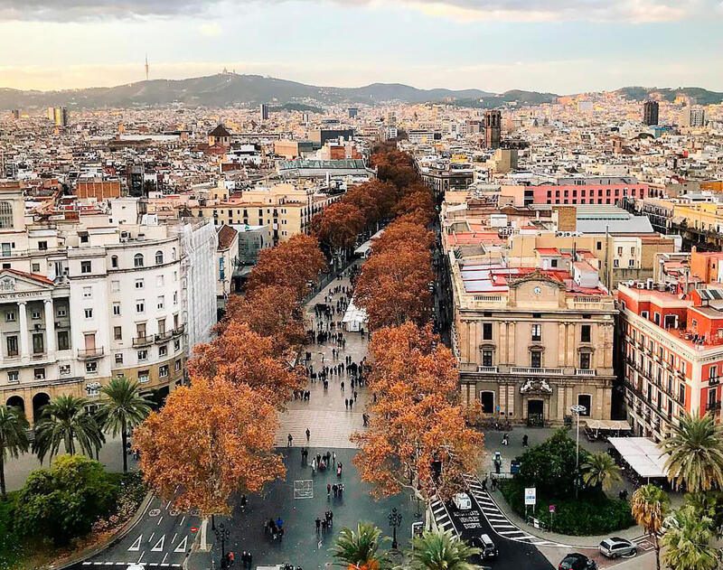 Elevated view of La Rambla as it cuts through the urban fabric of Barcelona, lined with russet and golden leafed trees, bustling with activity; the city's architecture stretching into the hills under a soft sky, capturing the essence of Barcelona in the fall.