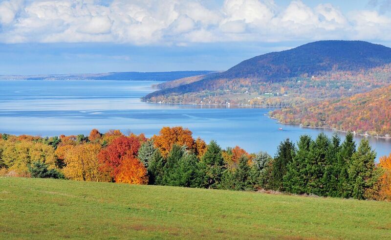 Scenic view of the Finger Lakes region showcasing a serene glacial lake surrounded by lush vineyards