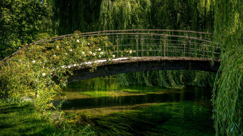 A historic stone bridge adorned with blooming white roses stretches over a tranquil green-watered pond, flanked by weeping willows, in the idyllic setting of Monet's garden in Giverny, a popular day-trip destination from Paris.