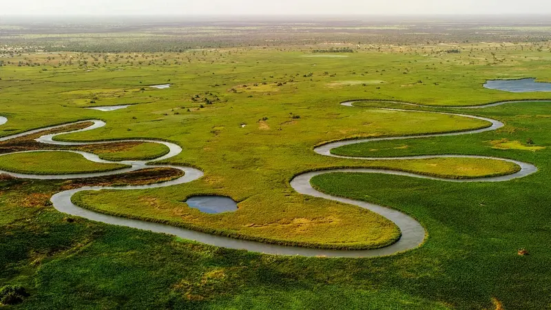 Okavango Delta located in Botswana