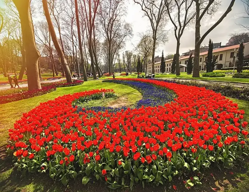 Vibrant tulips in Gülhane Park, with sunlit paths and trees.