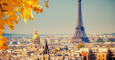 A panoramic view of Paris in autumn, showcasing the Eiffel Tower and the golden dome of Les Invalides amidst a sea of traditional Parisian buildings. The foreground features vibrant yellow autumn leaves, suggesting the photo was taken from a high vantage point through the foliage, on a clear day with a bright blue sky.