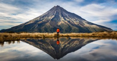 traveling to New Zealand