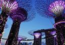 The 17 things to know before visiting Singapore