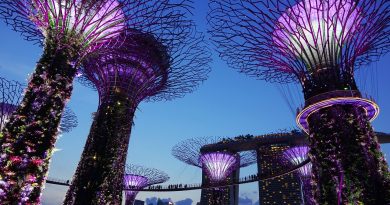 The 17 things to know before visiting Singapore