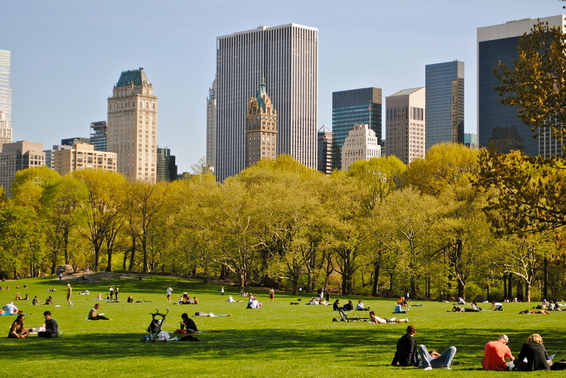 15 Best Things to Do in New York City - Traveller Today